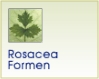 Rosacea Formen